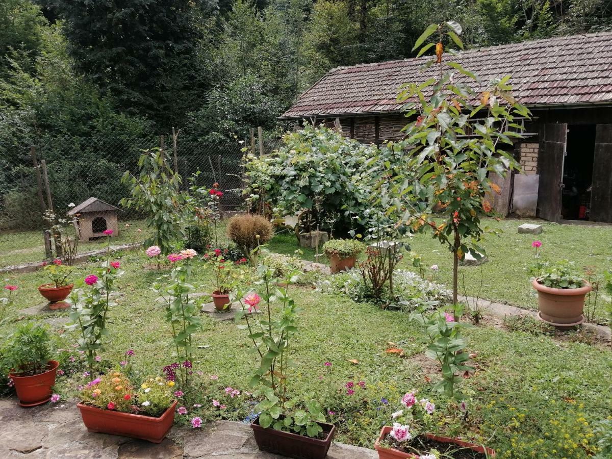 Guest House Tsveti-Trqvna Bangeytsi Extérieur photo